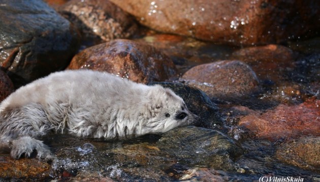 �� ���������� ��������� ������� ������ ���������