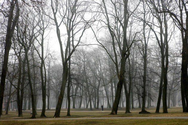 � ������ ��������� ���� �� ������