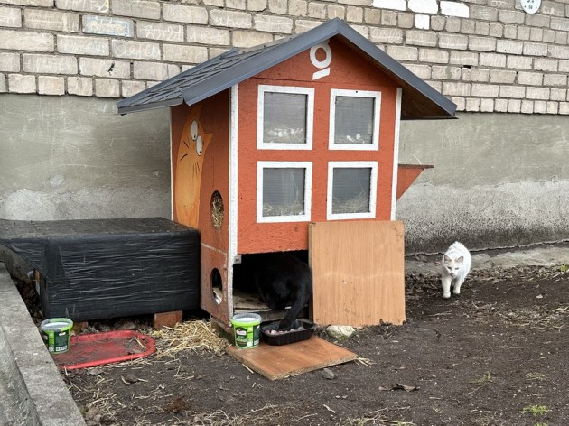 ������� �������� ����� ����� ����? ������� ������ �� ������������!