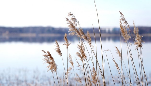 � ������� ������������ ���� ������ �������