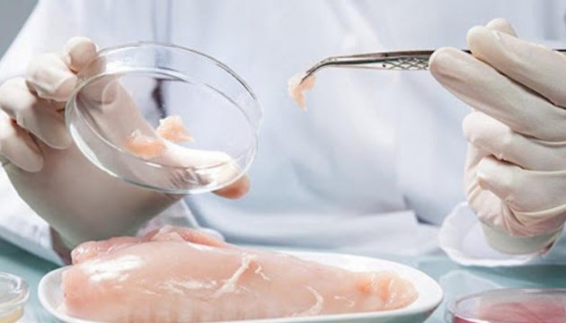 В импортных курах нашли сальмонеллу. В Латвии – три случая за неделю