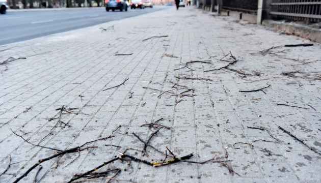 С утра в Латвии продолжает бушевать сильный ветер