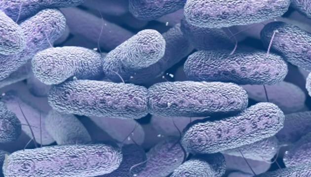 �������� ����������: �� ��� ���������� ������� �������������