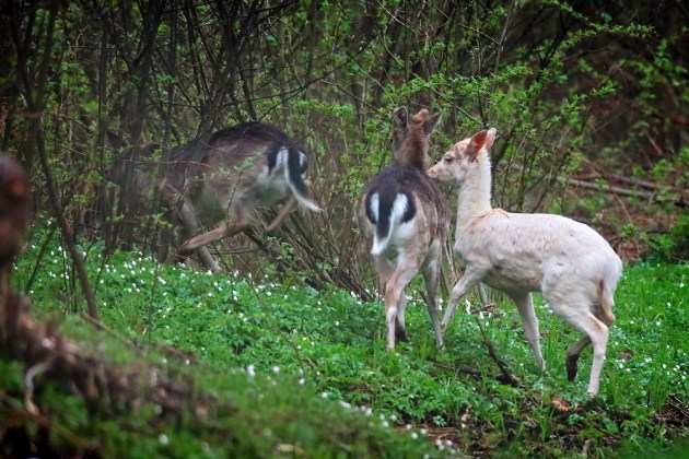 ������������ �����: ��� ����� ����������� ����� ����