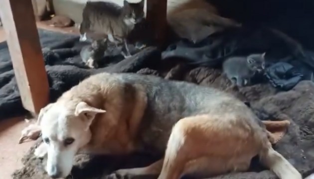 ��������: ����� ����������! (+�����)