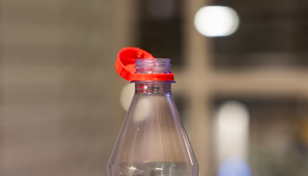 ��� ���� �������? ������� ���������� ����� ������ �� ����������� ��������