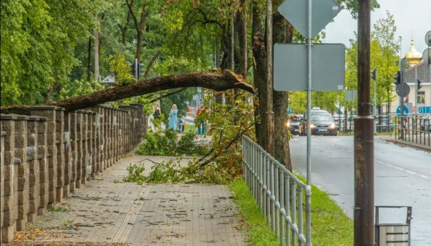 ��������� ��������������: ��������� ������������ �������������� ����� � ������