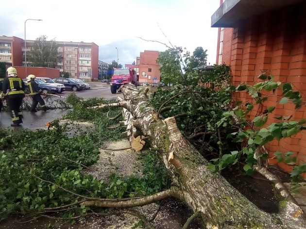 �����, ���������� �������������� �����, �������� 111 ����� ����