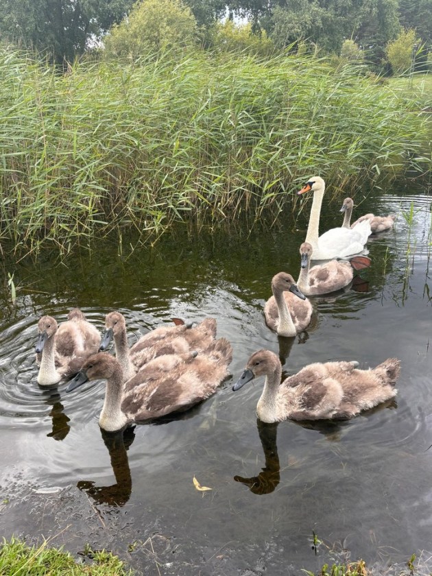 ������ � ���������: ������ �� ����� � ������