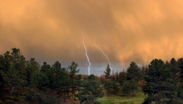 �� ������� ������ ��������� ����� � �����