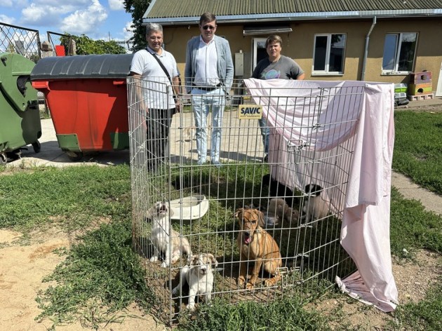 Привязали к остановке и оставили корм. Городской приют для животных – неотложка для всего региона