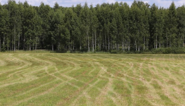 ����� �� ����� ������ ���� ������� � ��������