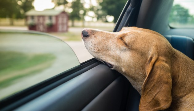 ������� ���� � ������� � ������: ������ �������� ������ ������������!