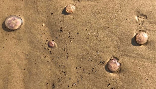 �� � ������� ������: � ������� ������ ��������� ������ ������� �������