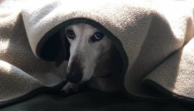 ������ ����� ����� ��� ��������