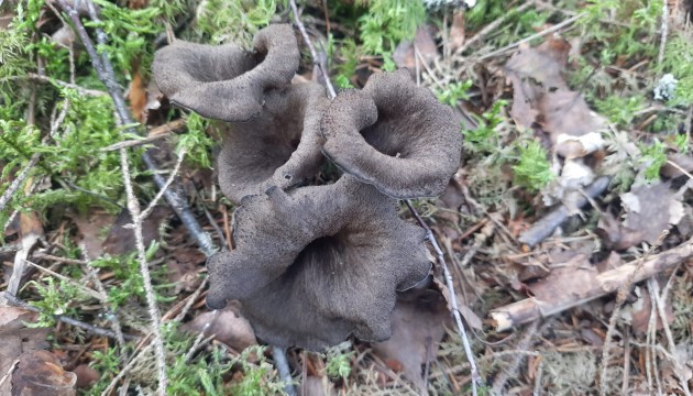 �� 200 ���� �� 1 ��! � ��������� ���� �������� ������ �������