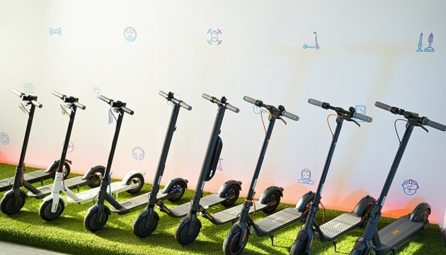 ���������������: ��������-�������� ������� ����������