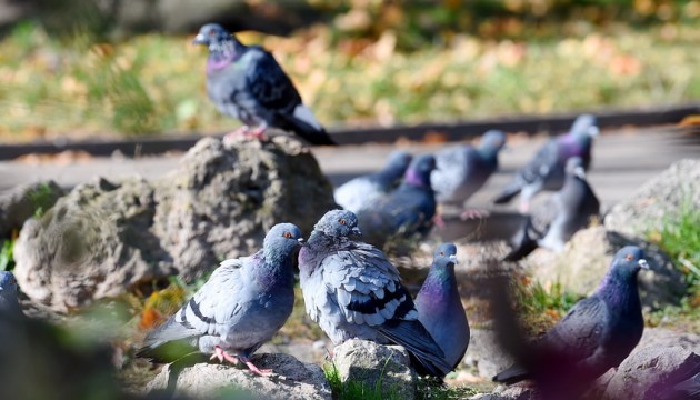 ��������� �������� ������� ������ �� ��������� ������