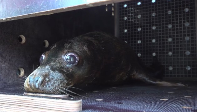 ��������� ������� ��������� � ����