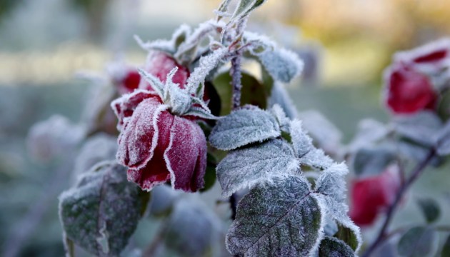 �� ���� ������ �������� ������ ���������