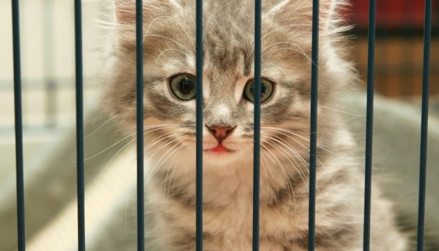 �� ������� � �� �������� ���� �����, ����������� � �������������� ��������