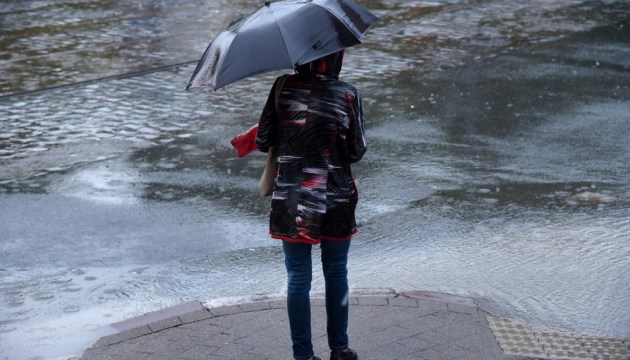 �� ���� ������ � ������ ������ ����� � �����������