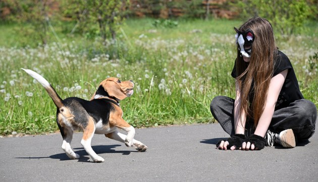 Хорошо быть кошкою, хорошо собакою…
