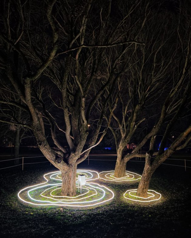 ����������� �����������: ������ ���������� ��������� ���������������� ������������ ��������� Staro Rīga