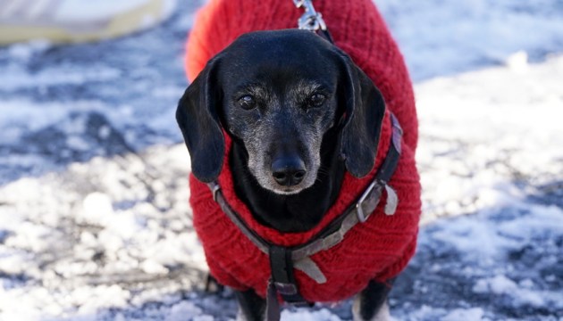 ��������� �� �����! ������� ������ �� �������� � ������ ������