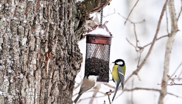 ��������... � ��������� ��� ����� ��������� ����������������� ����