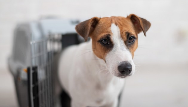 �������� ������� ���������� ����� � ������������ ������