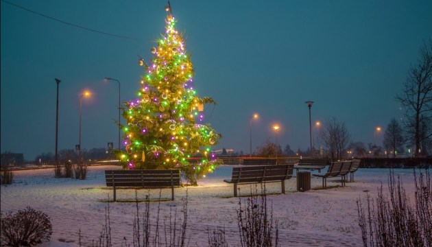 В микрорайонах начинают зажигать огни на елках (+ГРАФИК)