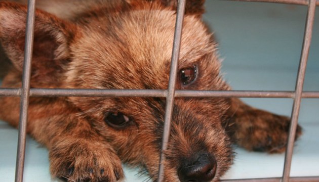 ����� �������� � ������ 2024�