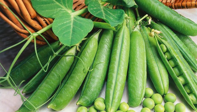 � ������ �������� ����� �� ����������� ������