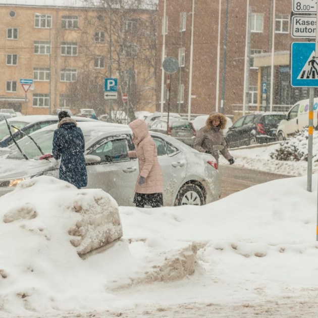 �������� � ������ �����: � �������� �������� ������ ������� ���������