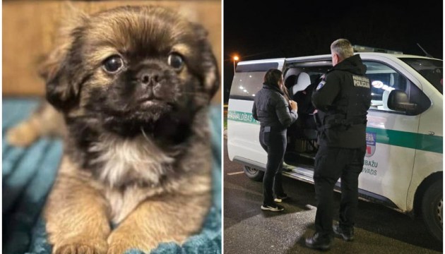 ���� ����� �� ����������� ���������� ��������