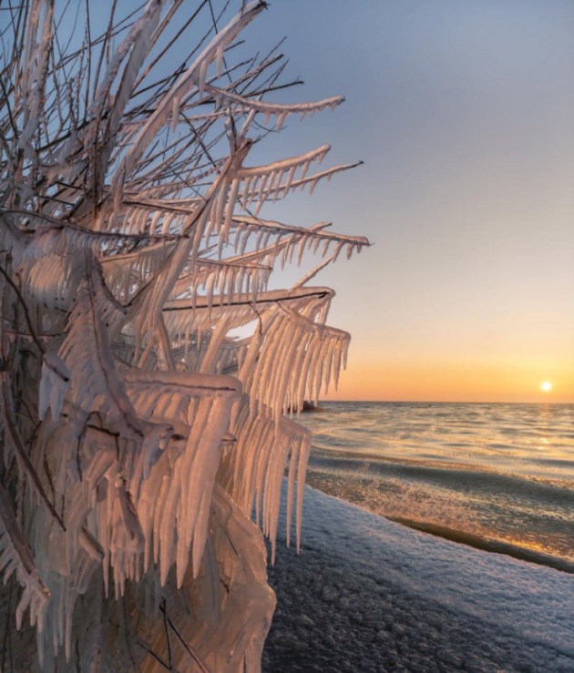 � ��������� ���� ������� ��������� ������������ � ������� ������� �������� (+����)