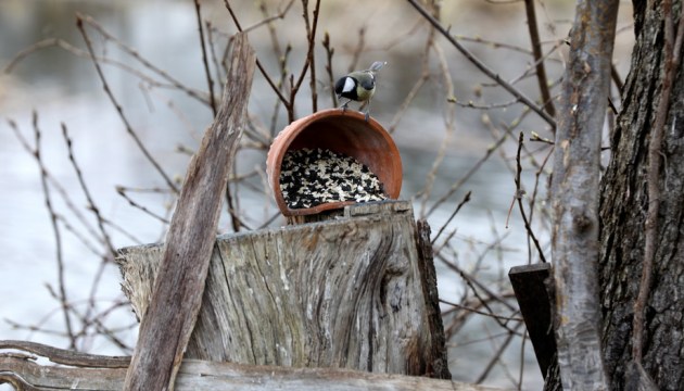 ����� �������, ��� �� � ������!�: ��������� ������ ������� �� �����