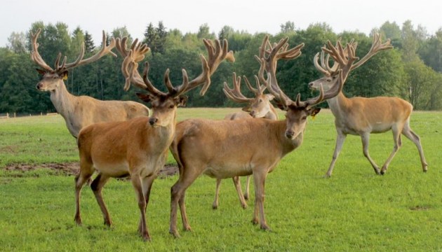 � ���������� �������� ����� � ����� ������