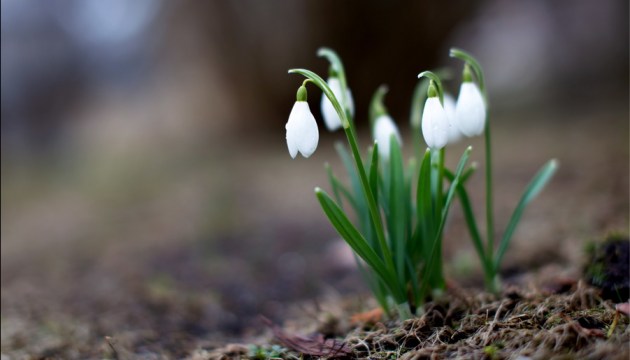 ������, ����! ��������� ������������ ������ ����������