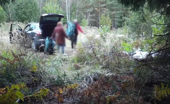 Не сорите в лесу: вас найдут и накажут