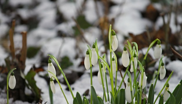 ������������� ������: � ����� ���� ������ � �������� �����, �� ��������� � ����� � ������ ����