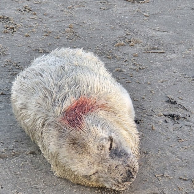 ������ �� ������� ������� ���������� ��� ��������� �������