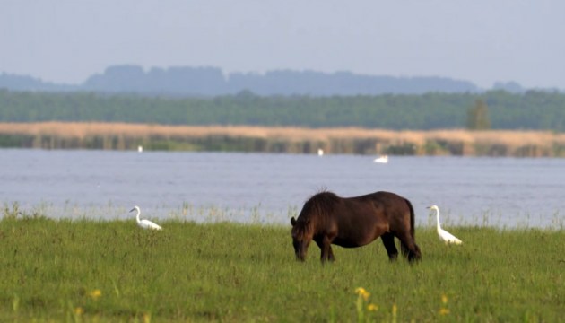 ��������� �������� ������ ��� �������: ��������� ����� ���� ������������ �� 2036 ����