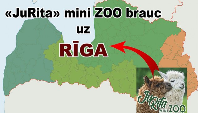 JuRita mini ZOO ����������� � ����: ��������������� ����� � �����, ���������� � ���������