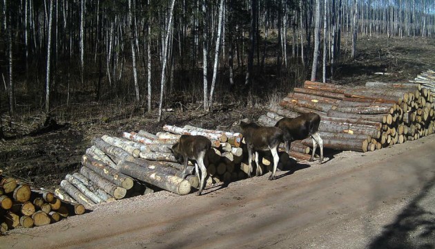 � ���������� ���� ������������� ����� ��������������!