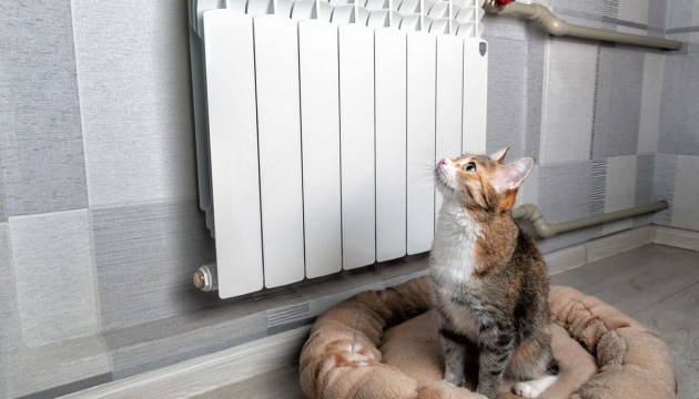 ���� ��������� ������ �� ���������� ���������