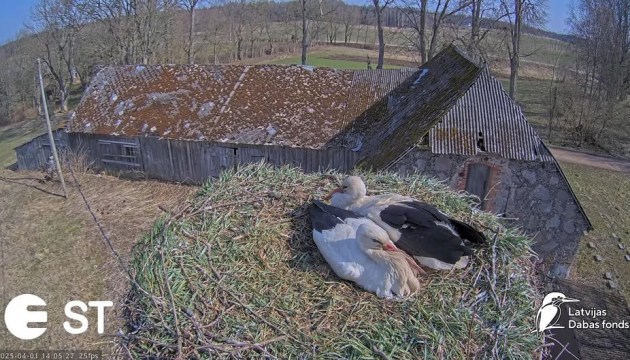 1 апреля у телеаистов образовалась пара! Стартовал пятый сезон