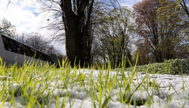 ���� ������������: �� �������� ��������� ����