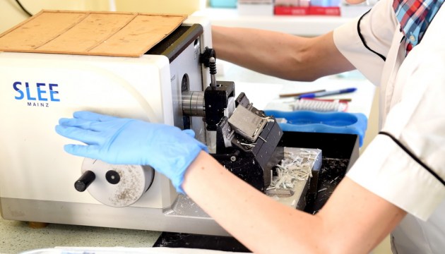 �������� ������ � ���, � ��� ������� ��������� ������� ��������� �������� �������� E. coli